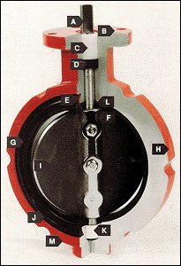 Butterfly Valve