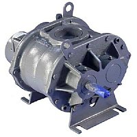 47 Universal RAI® Positive Displacement Blower